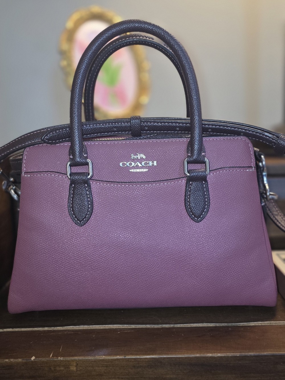 Coach Mini Darcie Carryall